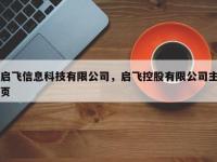 启飞信息科技有限公司，启飞控股有限公司主页